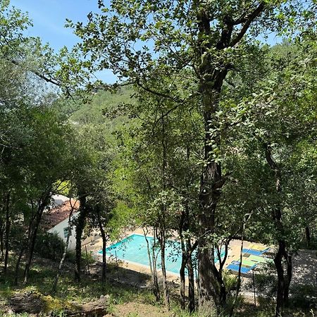 Maison Avec Piscine Chauffee Entre Mer Et Montagne Montauriol  Экстерьер фото