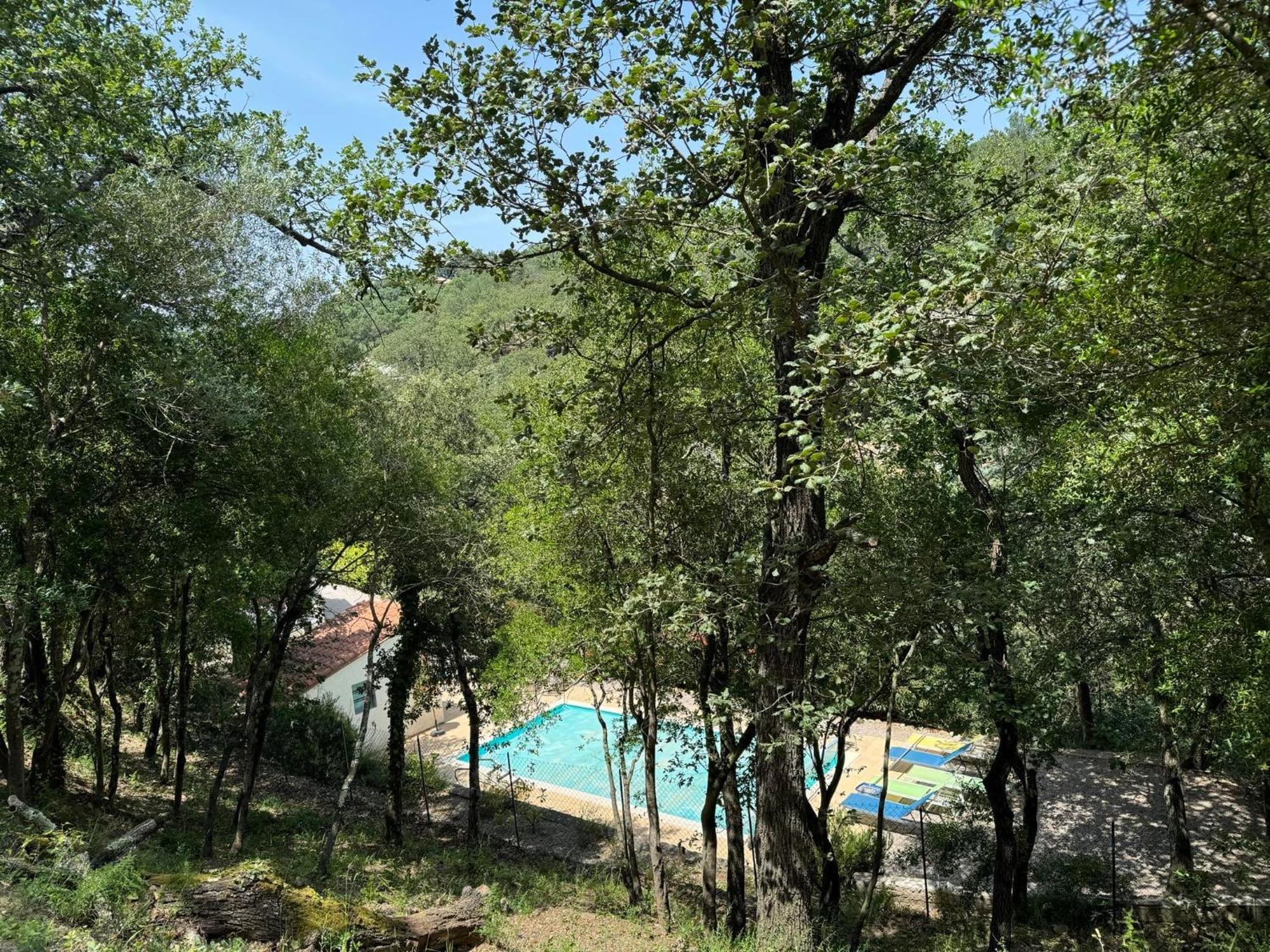 Maison Avec Piscine Chauffee Entre Mer Et Montagne Montauriol  Экстерьер фото